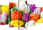 Trend24 - Canvas Schilderij - Gekleurde Tulpen - Vijfluik - Bloemen - 150x100x2 cm - Meerkleurig