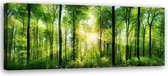 Trend24 - Canvas Schilderij - Zonnestralen In Het Bos - Schilderijen - Natuur - 90x30x2 cm - Groen