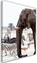 Trend24 - Canvas Schilderij - Dieren Op De Savannah - Elephant Zebras Struisvogels Antilopen - Schilderijen - Dieren - 80x120x2 cm - Bruin