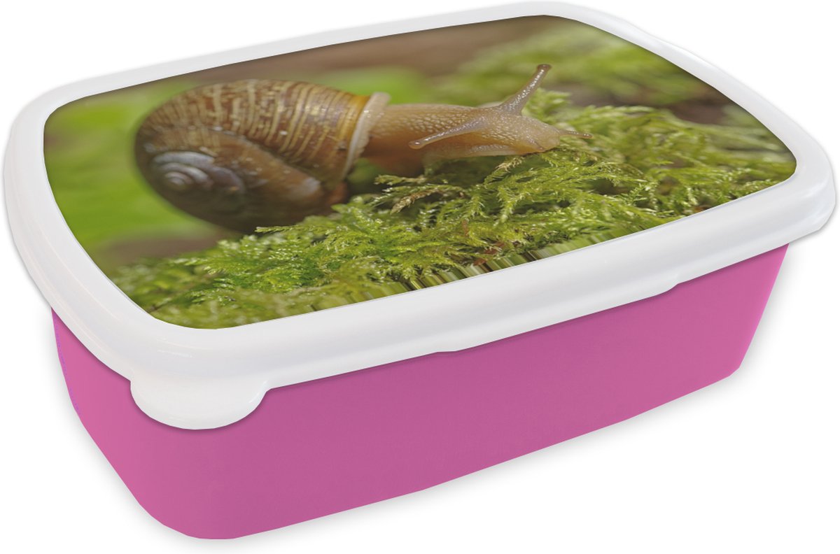 Broodtrommel Roze - Lunchbox - Brooddoos - Slak op mos - 18x12x6 cm - Kinderen - Meisje