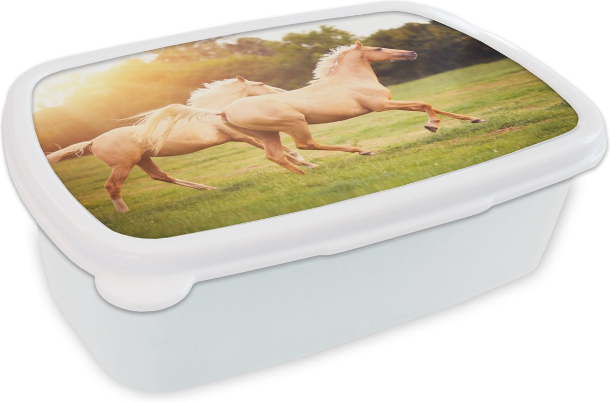 Broodtrommel Wit - Lunchbox - Brooddoos - Paarden - Gras - Zon - 18x12x6 cm - Volwassenen