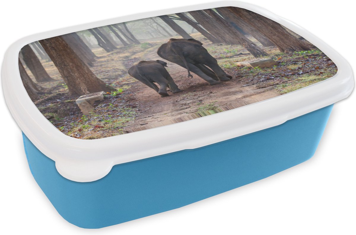 Broodtrommel Blauw - Lunchbox - Brooddoos - Olifant - Kalf - Bos - 18x12x6 cm - Kinderen - Jongen