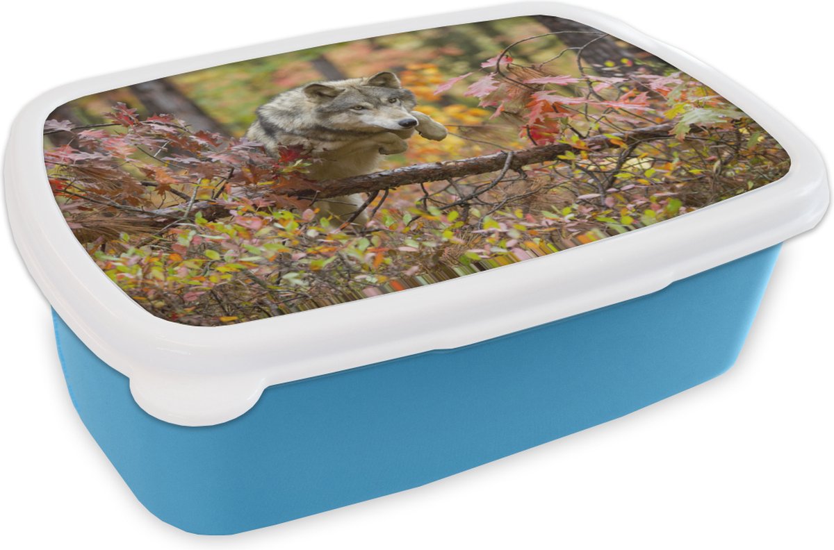Broodtrommel Blauw - Lunchbox - Brooddoos - Wolf - Tak - Bos - 18x12x6 cm - Kinderen - Jongen