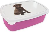 Broodtrommel Roze - Lunchbox Chocolade labrador puppy voor witte achtergrond - Brooddoos 18x12x6 cm - Brood lunch box - Broodtrommels voor kinderen en volwassenen