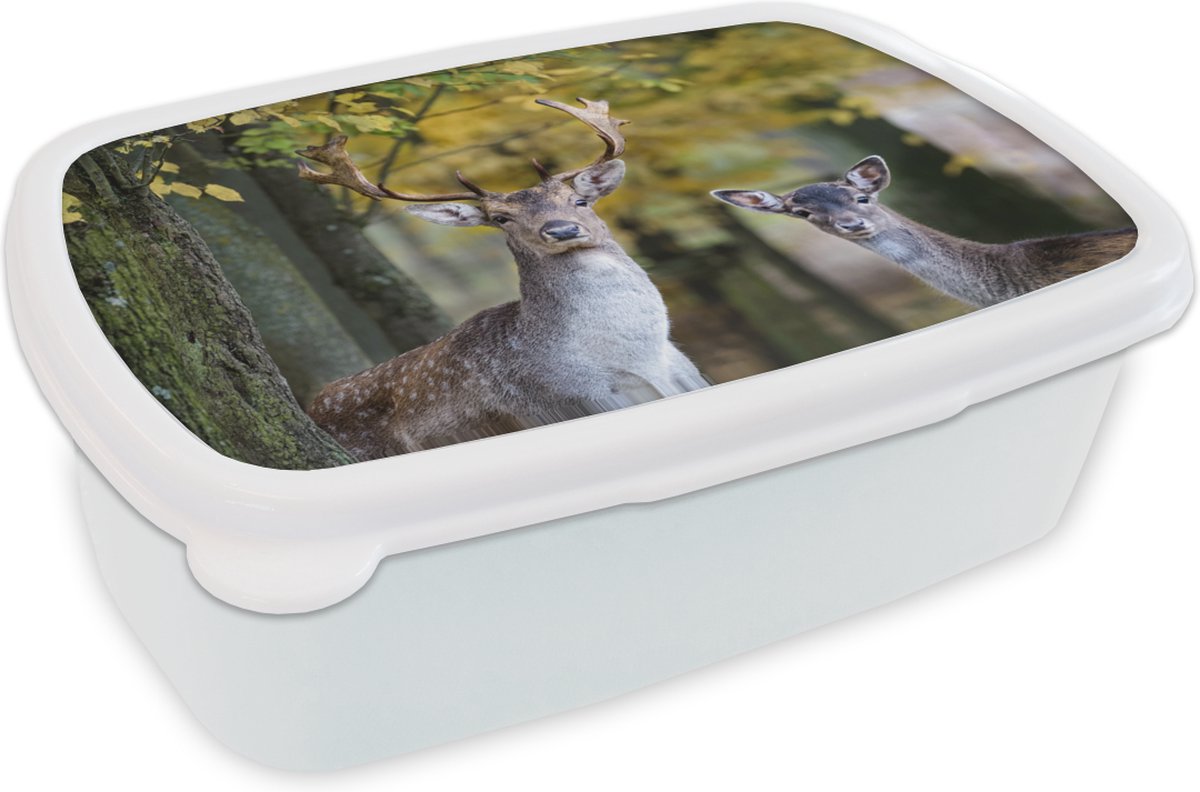 Broodtrommel Wit - Lunchbox - Brooddoos - Hert - Dieren - Boom - 18x12x6 cm - Volwassenen