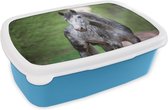 Broodtrommel Blauw - Lunchbox - Brooddoos - Paard - Bos - Portret - 18x12x6 cm - Kinderen - Jongen