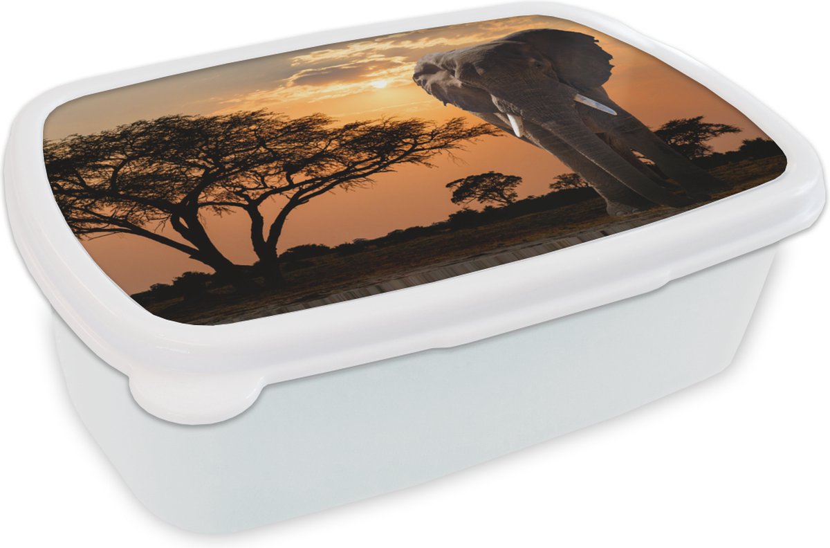 Broodtrommel Wit - Lunchbox - Brooddoos - Olifant - Boom - Afrika - 18x12x6 cm - Volwassenen