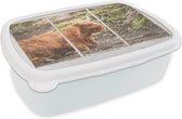Broodtrommel Wit - Lunchbox - Brooddoos - Schotse hooglander - Doorkijk - Natuur - 18x12x6 cm - Volwassenen