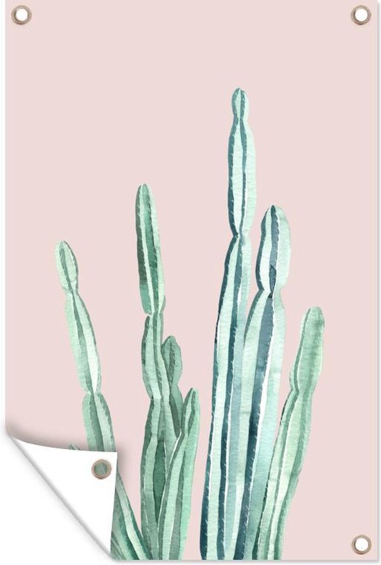 Tuindecoratie Cactus - Vetplant - Roze - 40x60 cm - Tuinposter - Tuindoek - Buitenposter