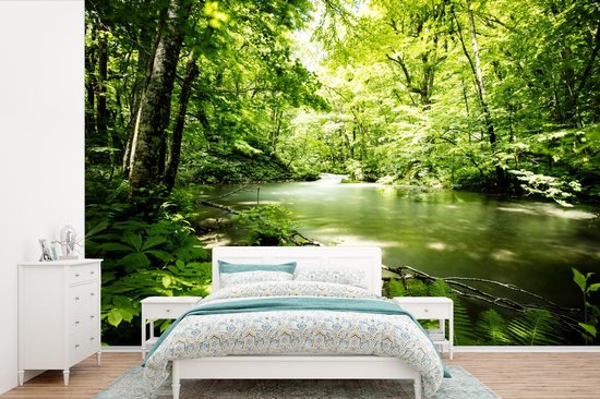 Papier peint - Papier peint Papier peint photo Forêt - Arbre - Water - Largeur 525 cm x hauteur 350 cm