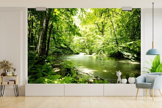 Papier peint - Papier peint photo Forêt - Arbre - Water - Largeur 360 cm x hauteur 240 cm