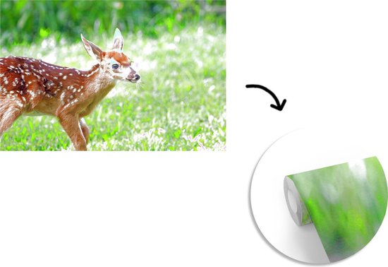 Papier peint photo peint photo vinyle - Jeune cerf court sur l'herbe largeur 390 cm x hauteur 260 cm - Tirage photo sur papier peint (disponible en 7 tailles)