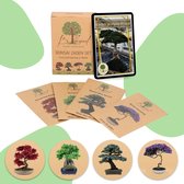 B-seed Zaden Set Incl. e-Book Bonsai Zaden Kweken - Boompje in Pot - Kamerplanten - Kweekset - Geschenkset