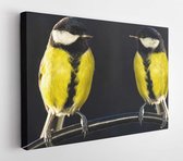 Onlinecanvas - Schilderij - Twee Koolmeesvogels Art Horizontaal Horizontal - Multicolor - 80 X 60 Cm