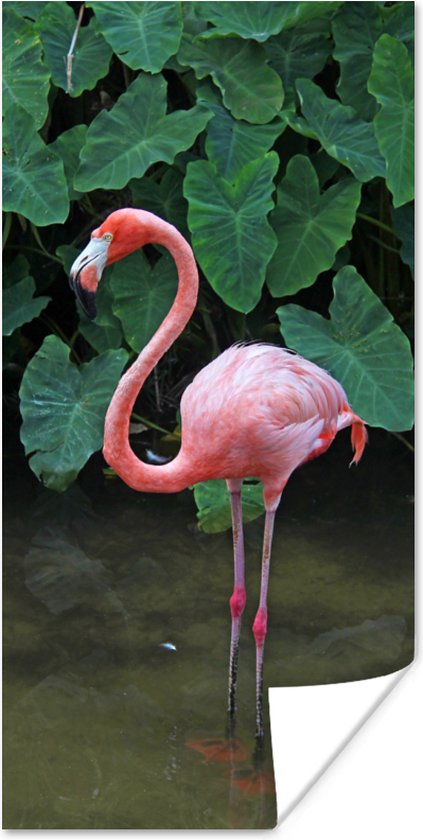 Poster Een flamingo staat in het ondiepe water - 40x80 cm
