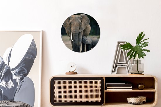 Cercle Mural - Cercle Mural Intérieur - Bébé éléphant nourri par sa mère - ⌀ 30 cm - Décoration murale - Peintures Ronds
