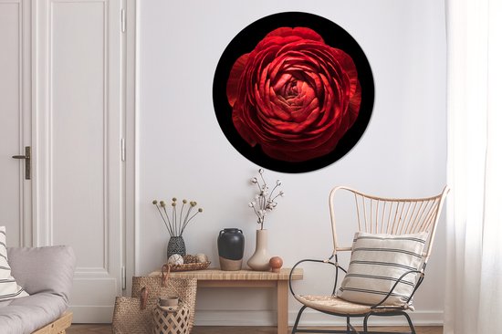 WallCircle - Wall Circle - Wall Circle - Un renoncule rouge gros plan sur fond noir - Aluminium - Dibond - 120x120 cm - Intérieur et Extérieur XXL