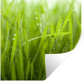 Stickers muraux - Gouttes de rosée précoce sur l'herbe - 80x80 cm - Film adhésif