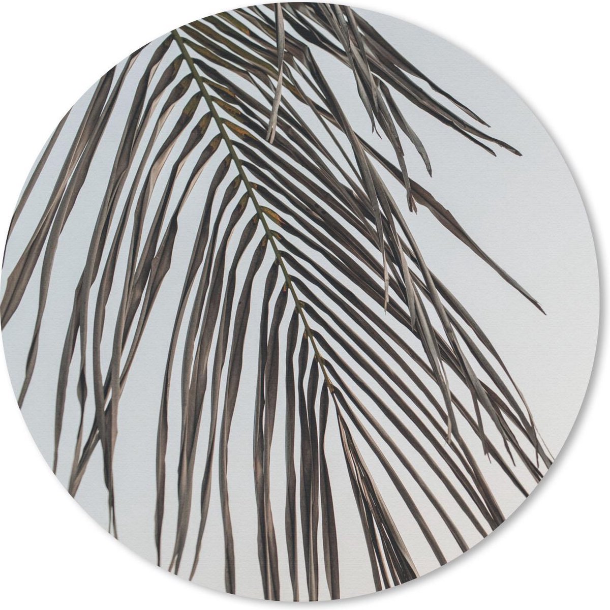 Muismat rond 20x20 cm - Mousepad Zomer - Blad - Palmboom - Ronde muismatten