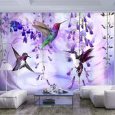 Zelfklevend fotobehang - Kolibries, Paars, 8 maten, premium print