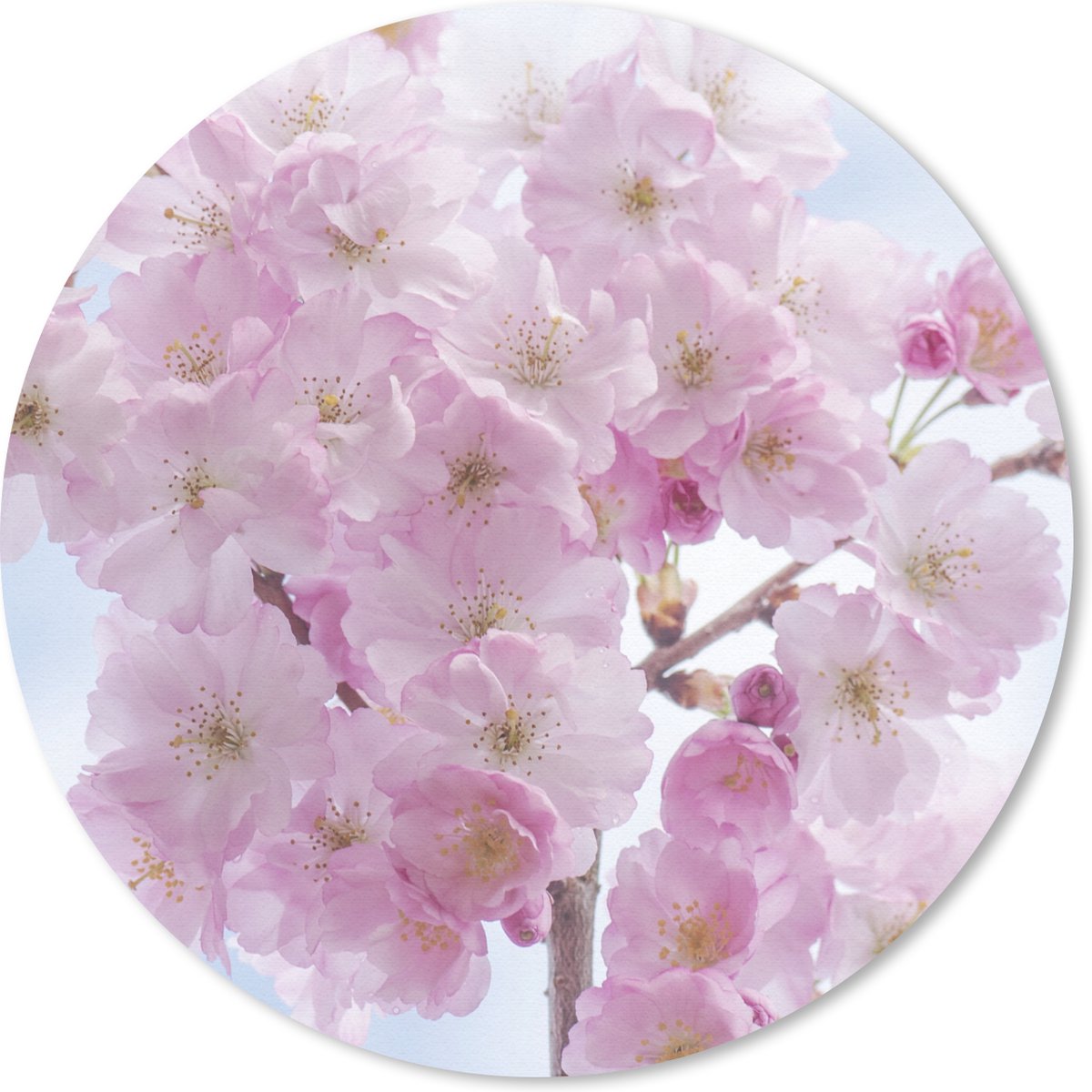 Muismat rond 30x30 cm - Mousepad Bloesem - Kersenboom - Lente - Ronde muismatten