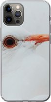 Geschikt voor iPhone 13 Pro hoesje - Close-up van een witte duif - Siliconen Telefoonhoesje