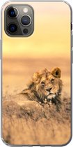 Geschikt voor iPhone 13 Pro hoesje - Leeuwen - Gras - Lucht - Siliconen Telefoonhoesje