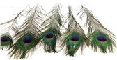 - peacock feather 60cm 5pc - natural - 605