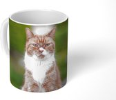 Mok - Koffiemok - Kat - Balkon - Bos - Meisjes - Kinderen - Jongens - Kids - Mokken - 350 ML - Beker - Koffiemokken - Theemok