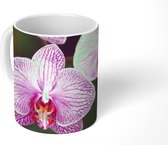 Mok - Roze orchidee - 350 ML - Beker