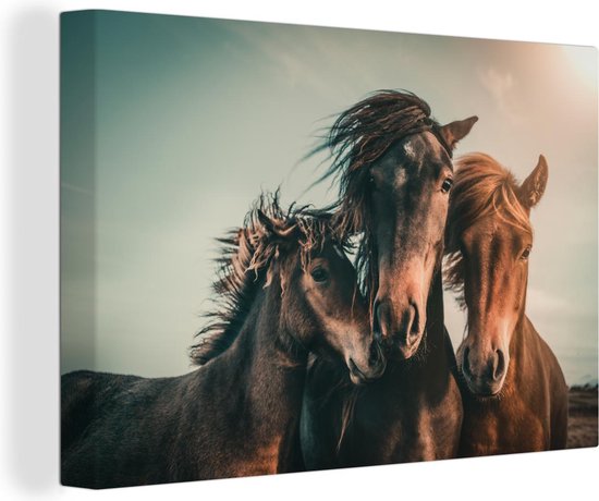 Tableau sur toile Paarden - Gros plan - Soleil - 150x100 cm - Décoration murale