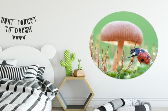 WallCircle - Cercle Mural - Cercle Mural - Coccinelle - Champignon - Insectes - Aluminium - Dibond - 140x140 cm - Intérieur et Extérieur