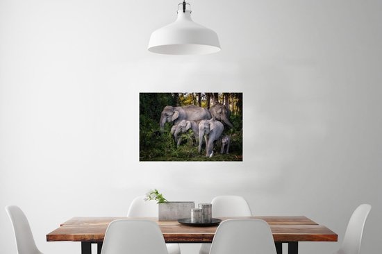 Affiche Les éléphants mangent des feuilles - 90x60 cm