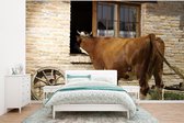 Papier peint photo peint vinyle - Vache regardant à travers une fenêtre largeur 295 cm x hauteur 220 cm - Tirage photo sur papier peint (disponible en 7 tailles)