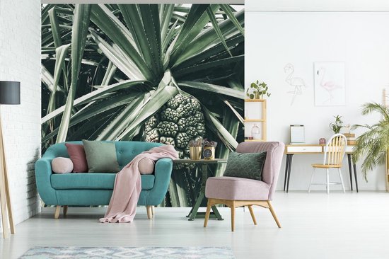 Behang - Fotobehang Cactus - Tropisch - Groen - Breedte 220 cm x hoogte 220 cm