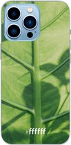 6F hoesje - geschikt voor iPhone 13 Pro Max - Transparant TPU Case - Leaves Macro #ffffff