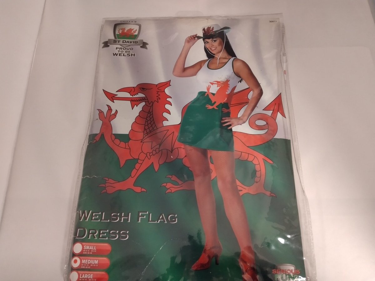 Welsh Flag Dress M