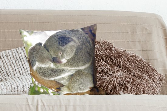 Koalas - Câlin - Animaux