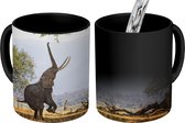 Magische Mok - Foto op Warmte Mokken - Koffiemok - Olifant - Boom - Bladeren - Magic Mok - Beker - 350 ML - Theemok