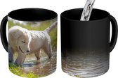 Magische Mok - Foto op Warmte Mok - Puppy spelend in een waterplas - 350 ML