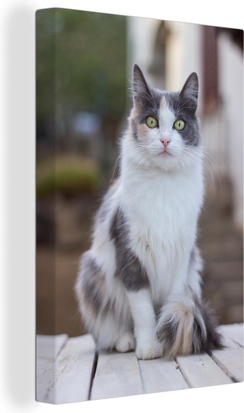 Portrait photo chat blanc-gris Toile 80x120 cm - Tirage photo sur toile (Décoration murale salon / chambre) / Peintures sur toile Animaux