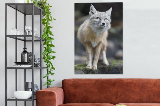 Toile Steppevos 80x120 cm - Tirage photo sur toile (Décoration murale salon / chambre) / Peintures sur toile Animaux