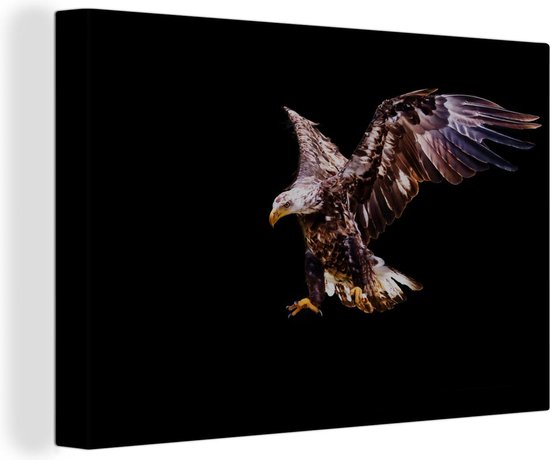 Aigle noir sur toile 120x80 cm - Tirage photo sur toile (Décoration murale salon / chambre) / Peintures sur toile Animaux