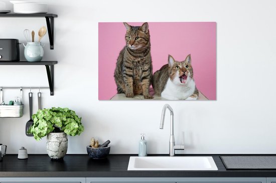 Deux chats devant fond rose Toile 60x40 cm - Tirage photo sur toile (Décoration murale salon / chambre) / Peintures sur toile animaux