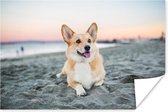 Poster Hond op het strand - 30x20 cm