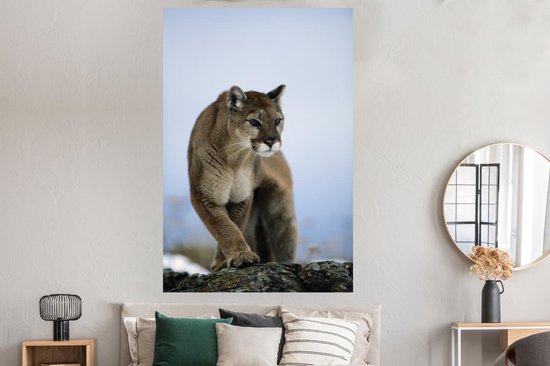 Poster Puma on rock 120x180 cm - Tirage photo sur Poster (décoration murale salon / chambre) / Poster Animaux XXL / Groot format!