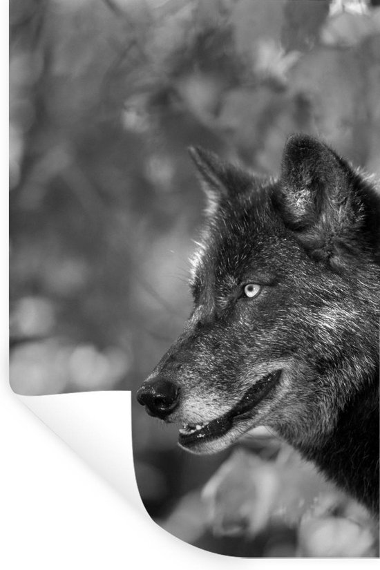 Muurstickers - Sticker Folie - Close-up wolf - zwart wit - 80x120 cm - Plakfolie - Muurstickers Kinderkamer - Zelfklevend Behang - Zelfklevend behangpapier - Stickerfolie