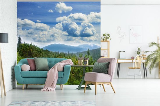 Papier peint - Papiers Papier peint photo Forêt - Chemin - Berg - Largeur 280 cm x Hauteur 280 cm