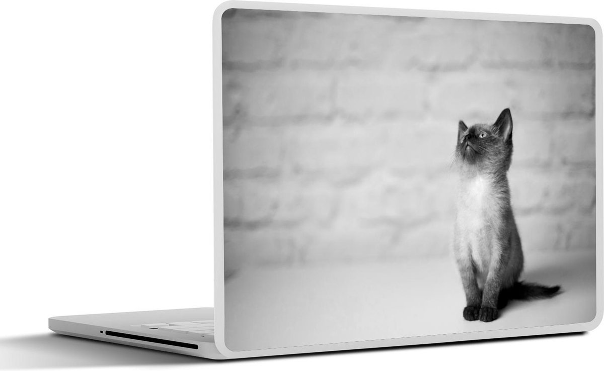 Afbeelding van product SleevesAndCases  Laptop sticker - 15.6 inch - Een zittende Siamees kitten kijkt omhoog - zwart wit