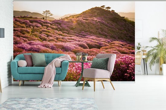 Papier peint photo peint photo vinyle - Paysage de bruyère vallonnée largeur 390 cm x hauteur 260 cm - Tirage photo sur papier peint (disponible en 7 tailles)